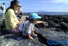 全球十大亲子旅游地排行榜|爱分享