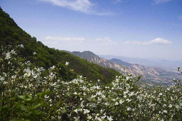 北京十大登山好去处 蟒山国家森林公园上榜 带你重新认识自然插图8
