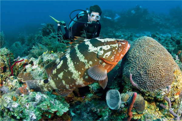 世界五大冷门又便宜的海岛 兰塔岛未经开发 巴拉望知名度低插图4