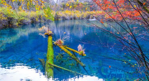 中国最美的10大自然景观排行榜插图7