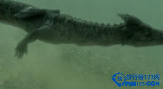世界十大水怪出没地 中国就占了四处！插图7