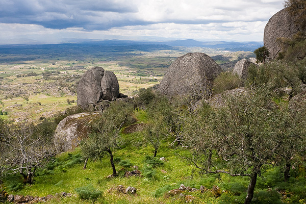 葡萄牙最美十大小镇 我最爱的是充满艺术气息的马夫拉 你呢插图4