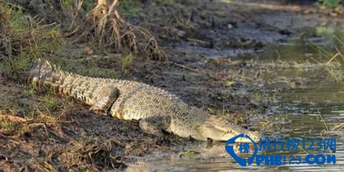 世界上令人惊讶的六大景观排行榜插图5