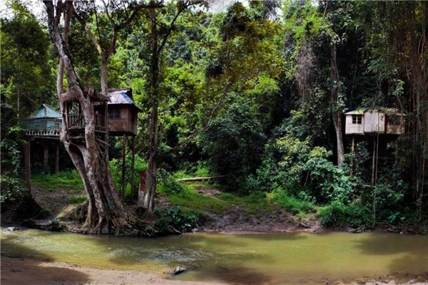 全球十大最美树屋 中国重庆七彩树屋建筑别致 巴厘岛树屋上榜插图8