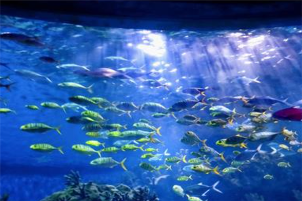 武汉十大免费旅游景点排名：东湖上榜，第六生态环境优美插图8