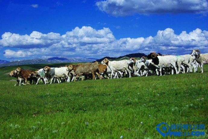 国内十大梦幻草原排行榜插图2