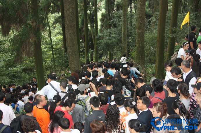 全国十大拥堵景点排行榜 西湖居首插图5