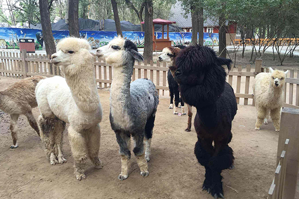 北京十大最贵景点：北京最贵的景点单人票价格是多少？插图2