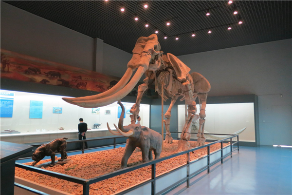 郑州好玩又免费的五大景点 河南省博物院上榜历史文物众多插图3