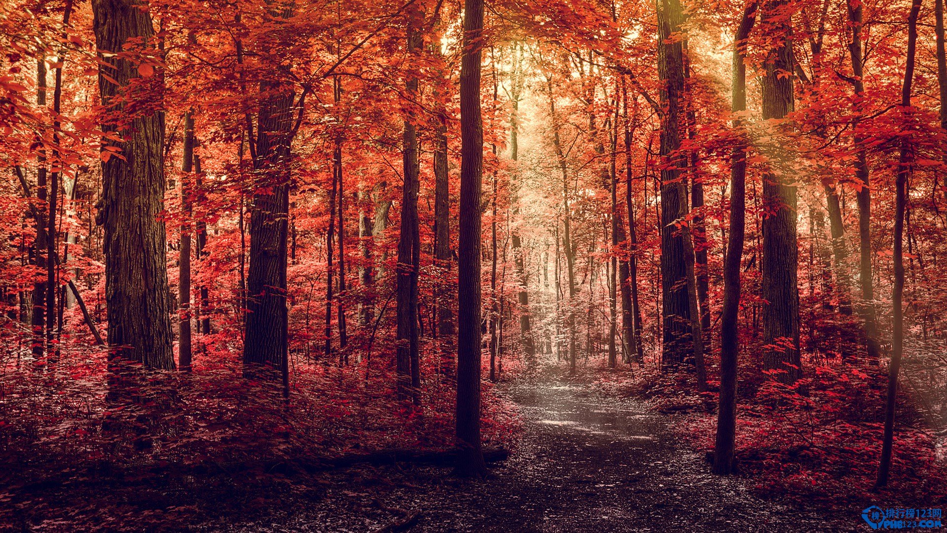 国内十大赏枫胜地排行榜插图6