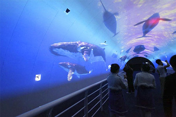 辽宁旅游必去十大景点 5A的本溪水洞与鸭绿江风景区上榜插图6