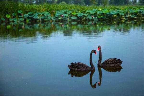 铁岭最好玩的地方推荐 铁岭好玩的地方排行榜插图2