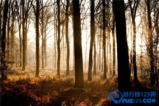 全球十大最佳赏秋胜地排行榜插图2