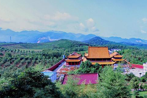 南安十大好玩景区：南安香草世界上榜 花开时节宛如花的海洋插图4