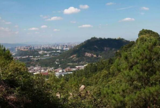 晋江免费好玩的十大风景区 触角沙滩上榜,月亮湾风景不错插图