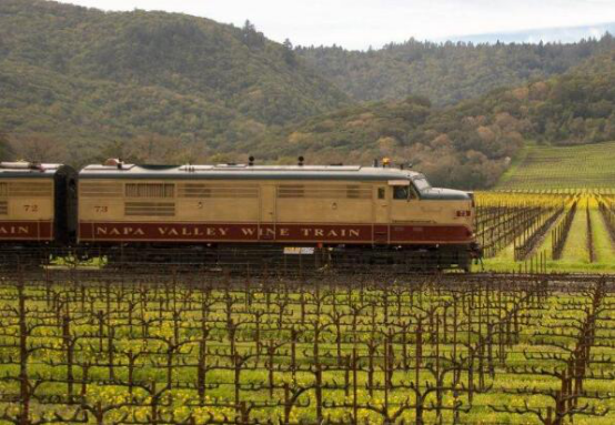 全球十大著名的火车旅行路线 第一路线车票最少都1000美元插图4