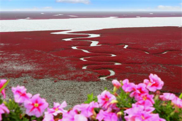 盘锦最好玩的地方推荐 盘锦好玩的地方排行榜插图