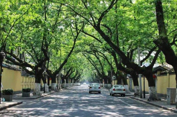 南京十大网红景点：栖霞山上榜，它是网红必去地插图1