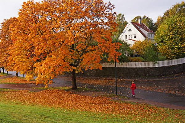 世界十大城市公园：东京的上野公园这个季节去刚刚好！插图7