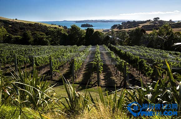 盘点新西兰十大不容错过的风景地插图1