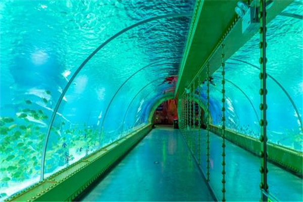 东莞十大热门游乐场排名:乐8小城第五，第四在凤岗镇插图1