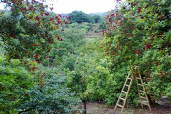 汕头十大风景名胜排名：第二遛娃胜地，龙虎滩上榜插图9