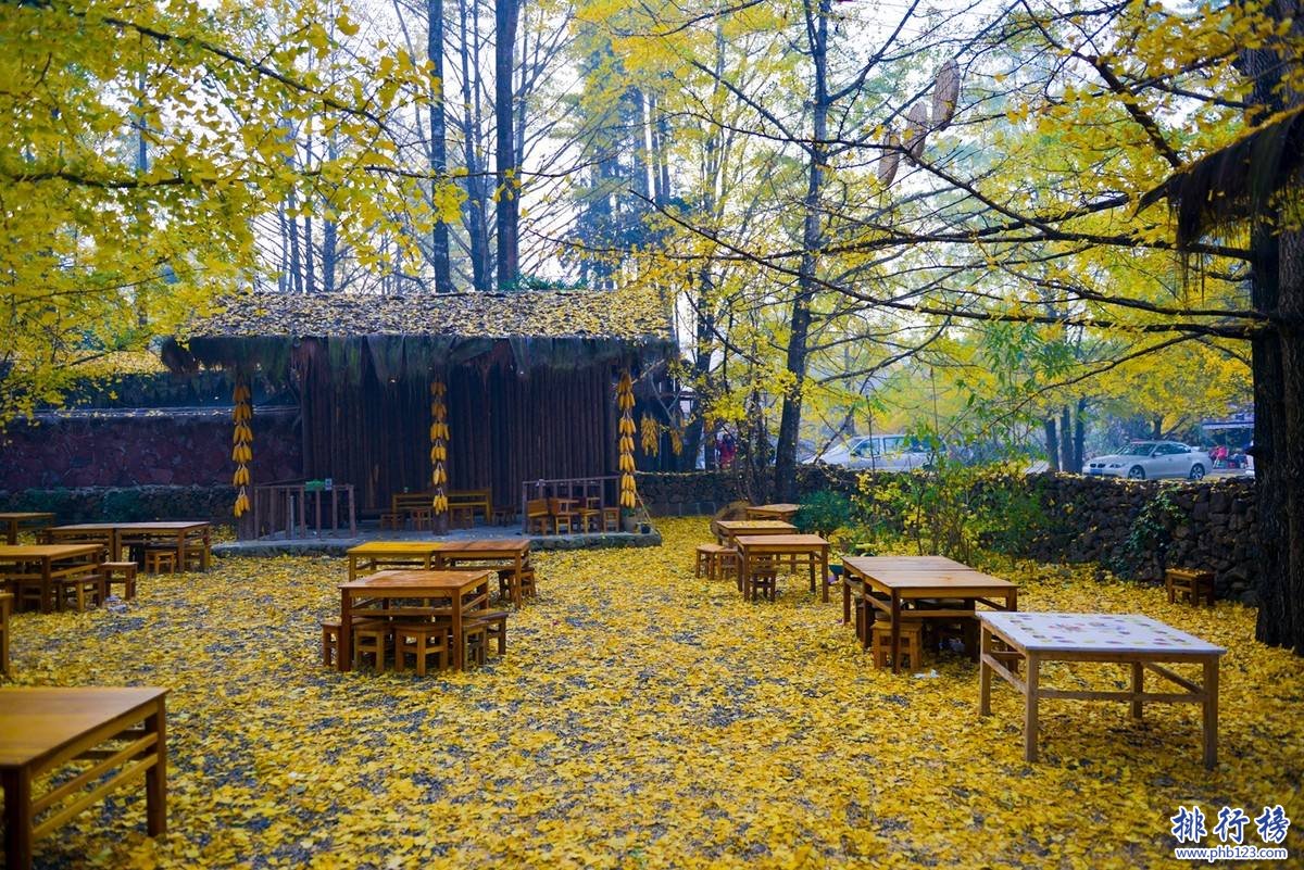 11月份适合去哪里旅游 十大11月旅游最佳去处插图4