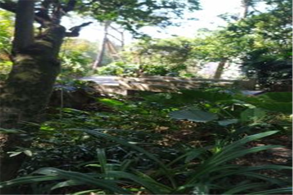 揭阳十大风景名胜排名：兰花谷第四，第十始建于清朝插图3