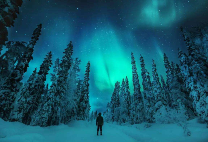 世界上最适合看极光的地方 北欧四国上榜三个，挪威最适合看极光插图3