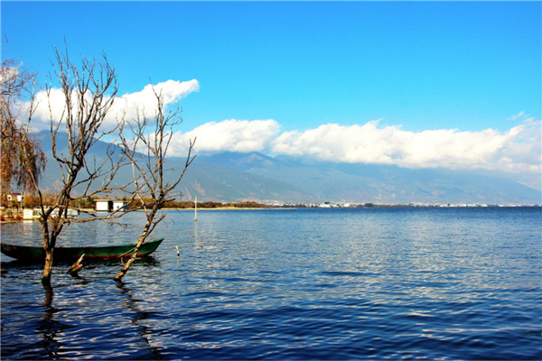 2020夏季国内景点排行 乌镇是典型的江南水乡 历史底蕴深厚插图1