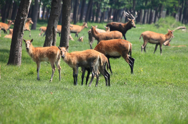 江苏十大旅游景点：廋西湖上榜，它是古桥小镇插图7