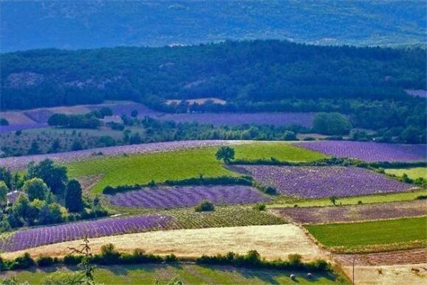 世界十大浪漫结婚圣地 景色美到哭，快来看看哪个是你想去的插图3