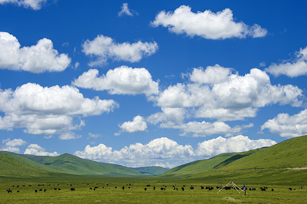 四川必去十大景点 稻城亚丁和九寨沟均有上榜插图5