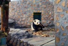 沧州好玩的地方排行榜 沧州十大好玩的地方推荐|爱分享