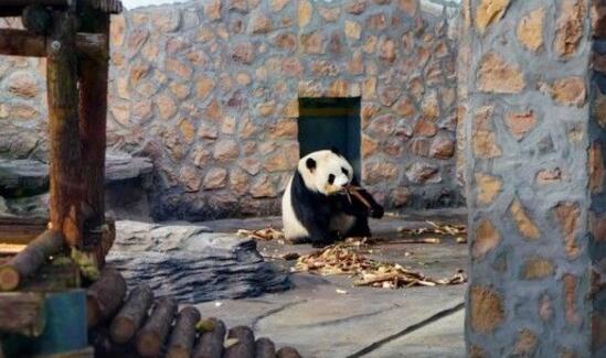 沧州好玩的地方排行榜 沧州十大好玩的地方推荐插图9