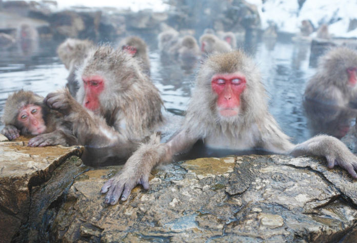 全球十大温泉排行榜 每一个都宛如仙境，带你感受自然界的奇迹插图9