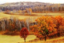 10月国内最佳旅游地点排行榜：蛟河红叶谷上榜，第2在新疆|爱分享