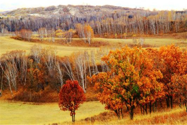 10月国内最佳旅游地点排行榜：蛟河红叶谷上榜，第2在新疆插图