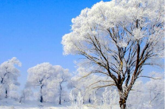 中国看雪最好的十个地方 雪乡排名第五,第一可以欣赏冰雕艺术插图1