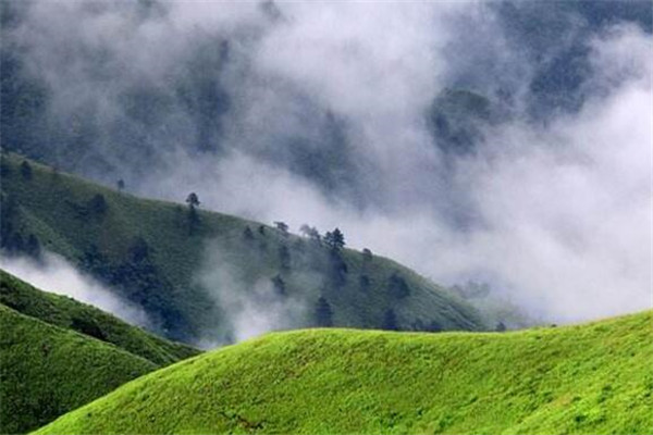 吉安最好玩的地方推荐 吉安好玩的地方排行榜插图4