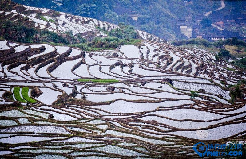 全球最美的十大梯田排行榜插图4