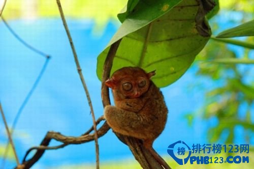 世界上十大最美岛屿插图2