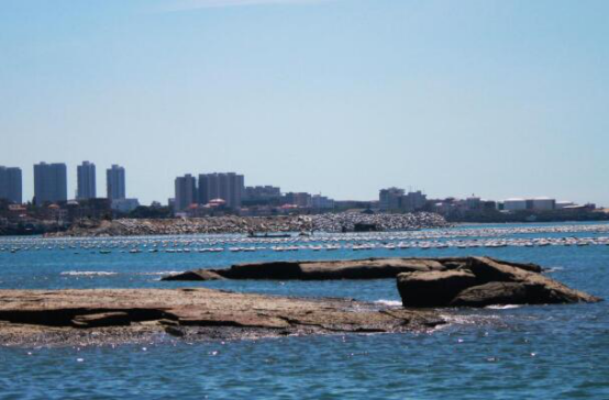晋江免费好玩的十大风景区 触角沙滩上榜,月亮湾风景不错插图5