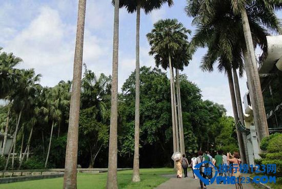 中国十大森林氧吧大盘点插图4