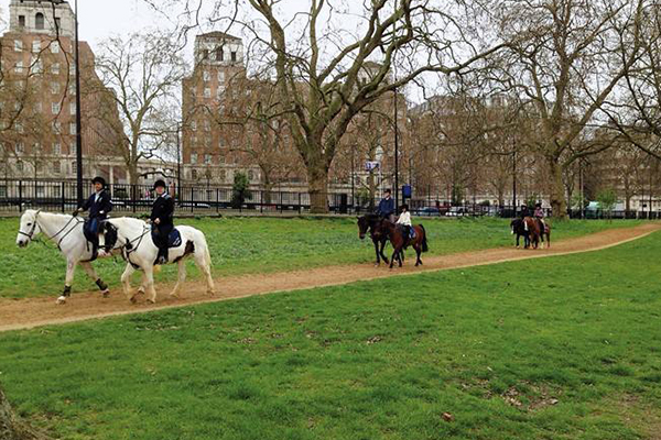 世界十大城市公园：东京的上野公园这个季节去刚刚好！插图4