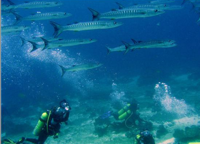 亚洲十大潜水胜地排名 最佳潜水胜地潜水者必去插图7