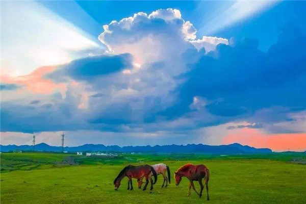 贵阳十大最值得去的景点：甲秀楼上榜，第三杜鹃花海插图8