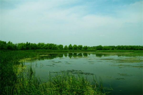 双鸭山有什么好玩的地方？盘点双鸭山好玩的地方排行榜插图1