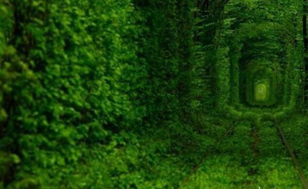 全球最美10个旅游胜地，人生必去的十大绝美景点推荐插图7