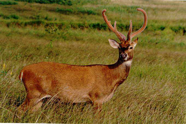 海南十大风情小镇 风景优美海鲜繁多，度假旅游休闲首选地插图6